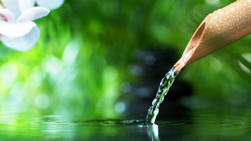 AdobeStock_319029230